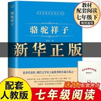 骆驼祥子