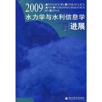 水力学与水利信息学进展