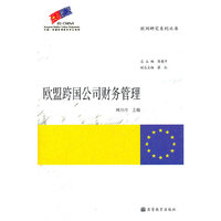 欧盟跨国公司财务管理