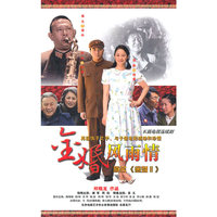 金婚风雨情 原名《金婚II》…17碟装(DVD)