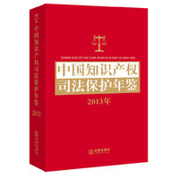2013年-中国知识产权司法保护年鉴