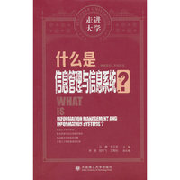 什么是信息管理与信息系统 走进大学系列丛书