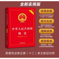 2026中华人民共和国刑法（实用版）（第十一版）