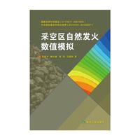 采空间自然发火数值模拟