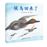 神奇的迁徙之旅·候鸟回来了
