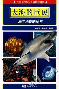 关于一个现代神话的故事