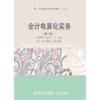 会计电算化实务（第二版）