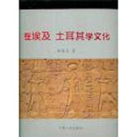 在埃及 土耳其学文化..