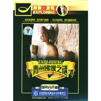 青州佛像之谜(DVD)