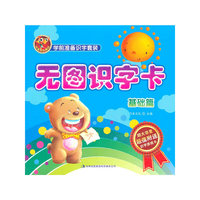 学前准备识字套装 无图识字卡 基础篇