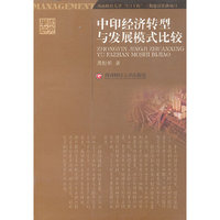 中印经济转型与发展模式比较