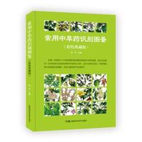 常用中草药识别图鉴（彩绘典藏版）