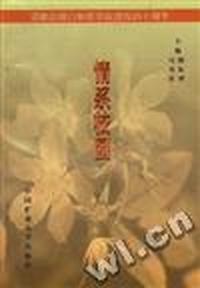 情系校园