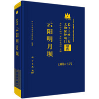 云阳明月坝9787030833907霍巍科学出版社