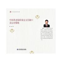 中国养老保险基金支付缺口及应对策略