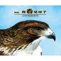 动物极限感觉-别跑，我看见你了