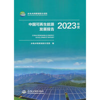中国可再生能源发展报告2023年度
