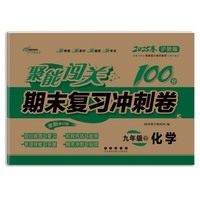 聚能闯关100分期末复习冲刺卷九年级下册化学25春*沪教版