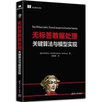 无标签数据处理：关键算法与模型实现