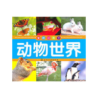 动物世界-童眼识天下