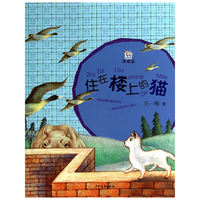住在楼上的猫