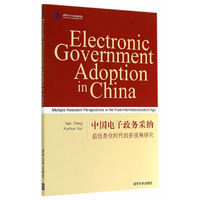 中国电子政务采纳后信息化时代的多视角研究