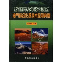 我国特殊景观区油气综合化探技术应用典例