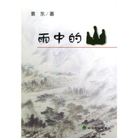 雨中的山