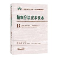 精细分层注水技术