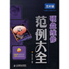 硬盘维修范例大全(芯片级维修工程师系列)(附DVD多媒体教学光盘1张)