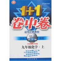 1+1卷中卷·银版综合练九年级化学上(沪教版)(阶段双测)