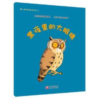 黑夜里的大眼睛