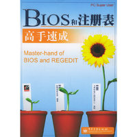 BIOS 和注册表高手速成