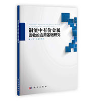 铜渣中有价金属回收的应用基础研究