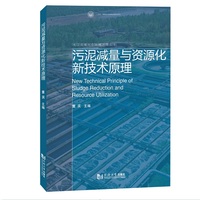 污泥减量与资源化新技术原理（长江流域生态环境治理丛书）