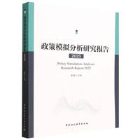 政策模拟分析研究报告2025