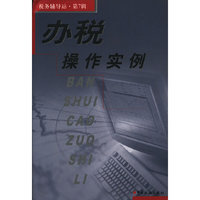 办税操作实例