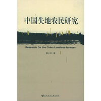 中国失地农民研究