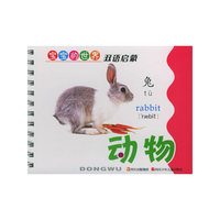 动物——宝宝的世界双语启蒙（注音版）