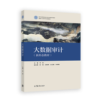 大数据审计