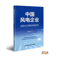 中国风电企业国际化发展策略研究