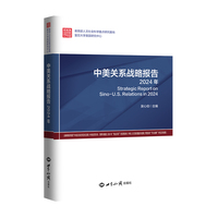 中美关系战略报告.2024年