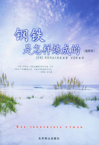 钢铁是怎样练成的 袖珍全译本