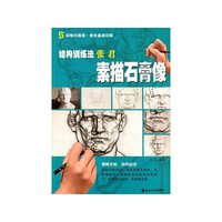 结构训练法张君素描石膏像