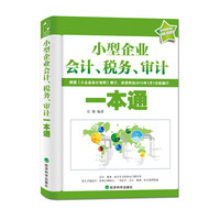 小型企业会计、税务、审计一本通