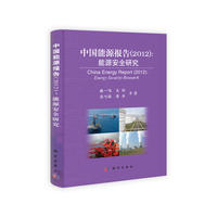 中国能源报告（2012）：能源安全研究