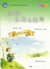 数学巩固与提高：六年级：下册