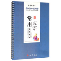 中华练字王：常用成语楷书字帖
