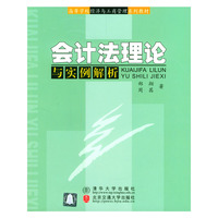 会计法理论与实例解析