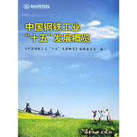 中国钢铁工业“十五”发展概览